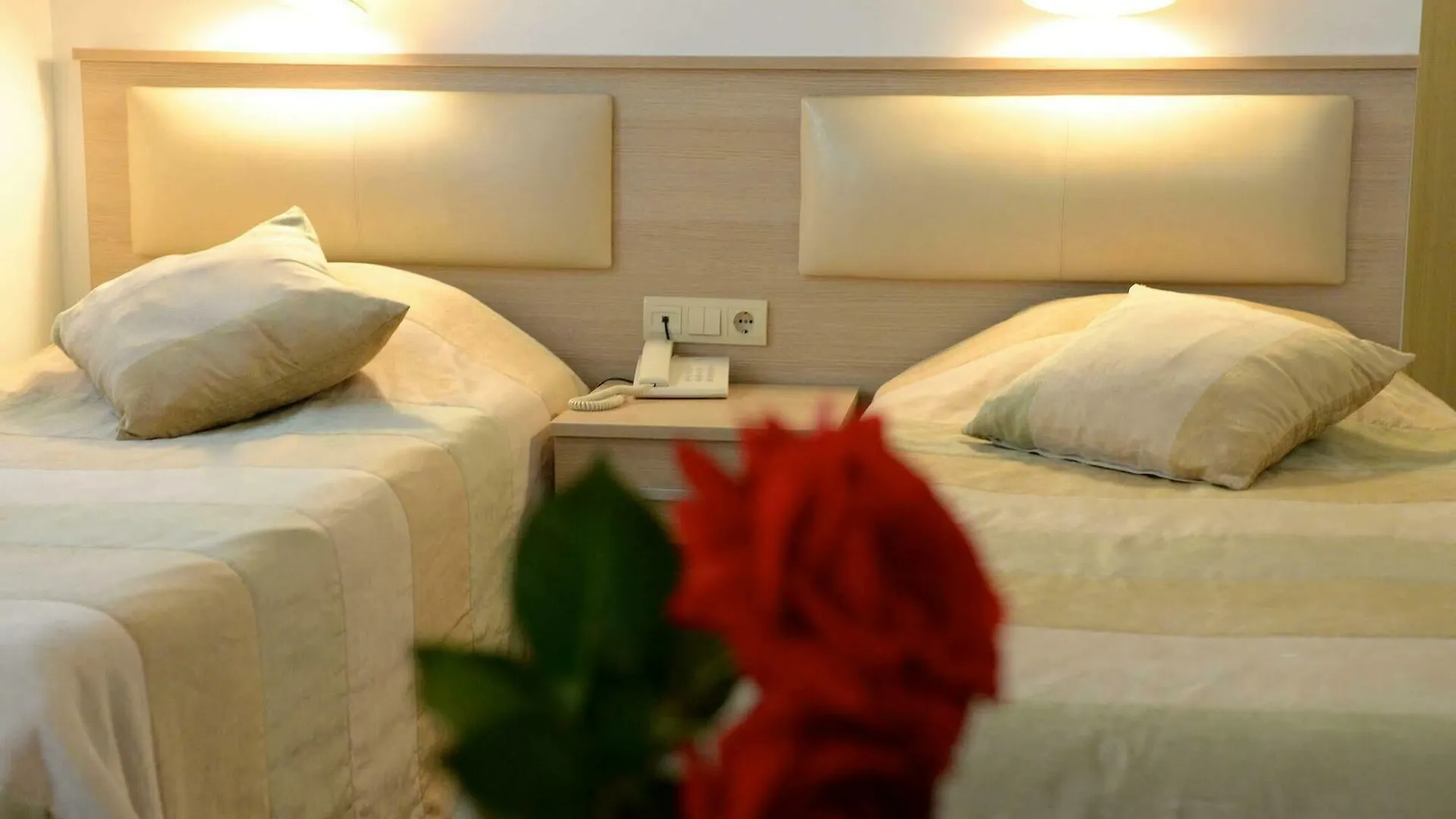 فندق Ayvalı Bay Nihat Otel Lale تركيا